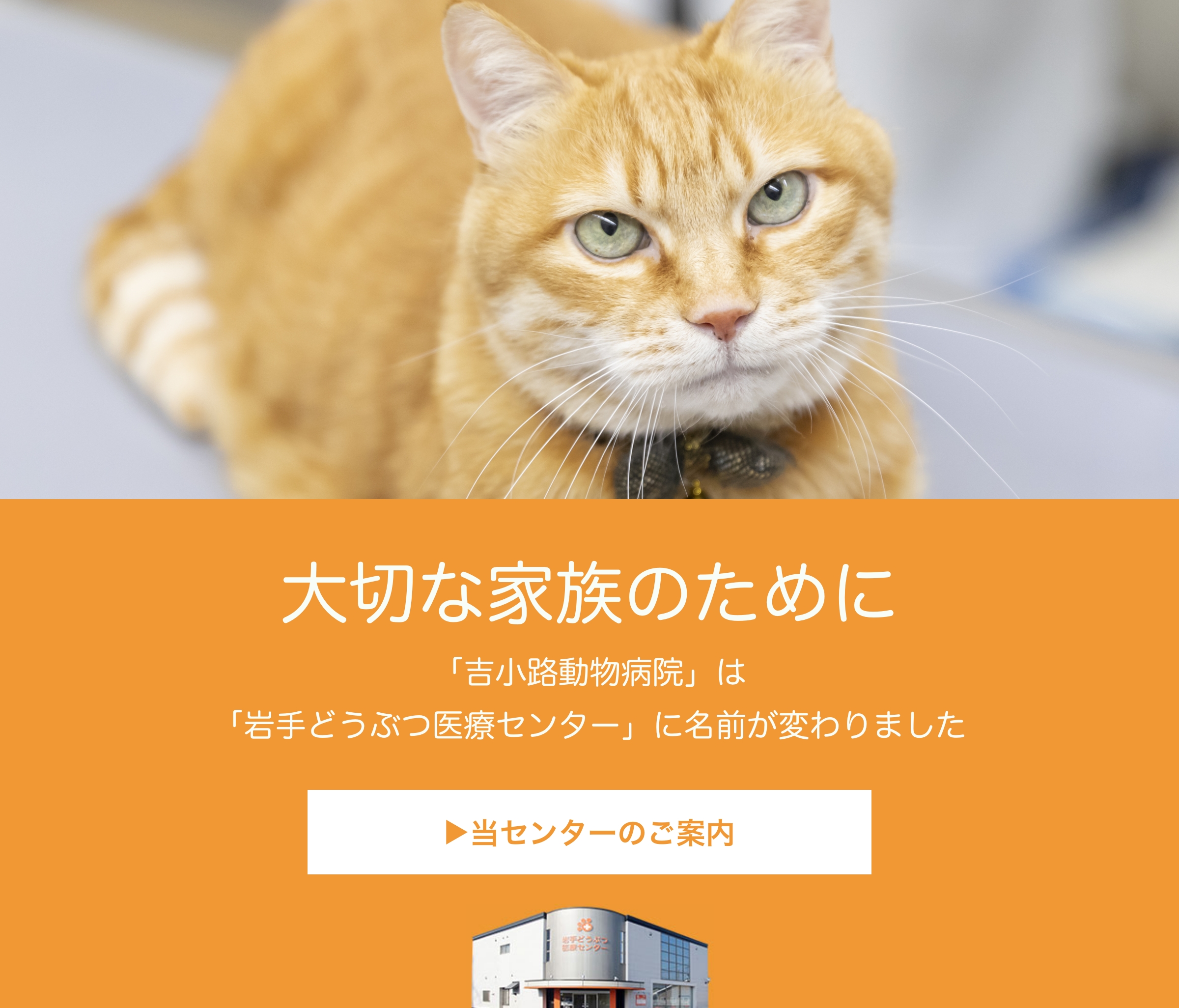 スマホ用